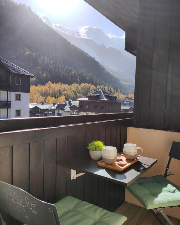 Apartment Superbe 2 Pieces, Centre Vue Mont-blanc Avec Balcon Et Parking Gratuit Chamonix